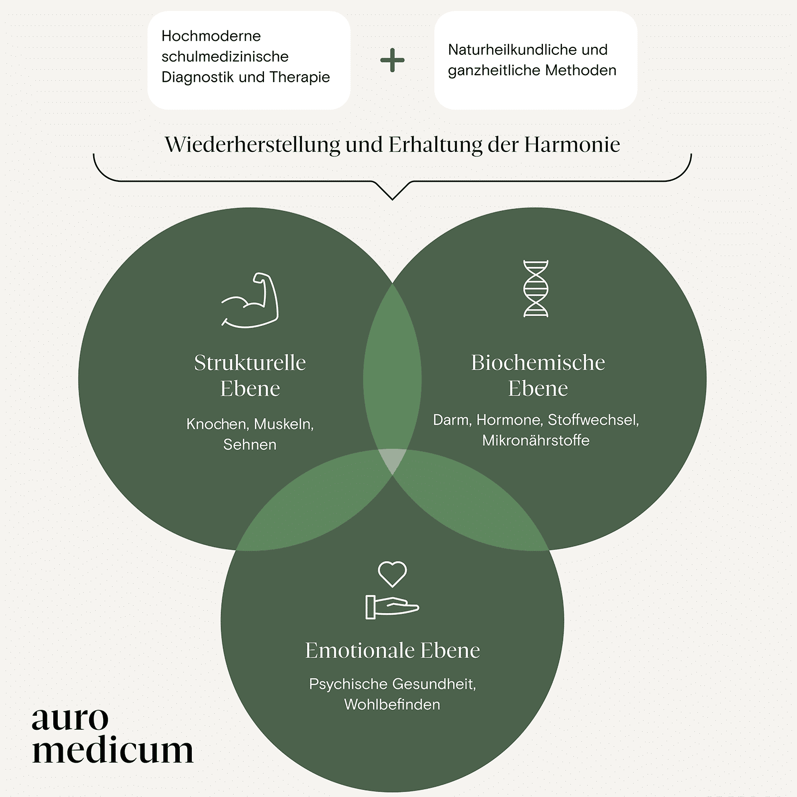 Grafische Darstellung der gemeinsamen Leistungen der Orthopädie Frankfurt und Schmerztherapie Frankfurt im Auromedicum